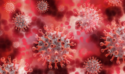 Учёный объяснил, как риск заразиться коронавирусом зависит от дня недели