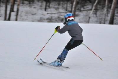 Курорт Волчиха под Екатеринбургом продают за 13 миллионов