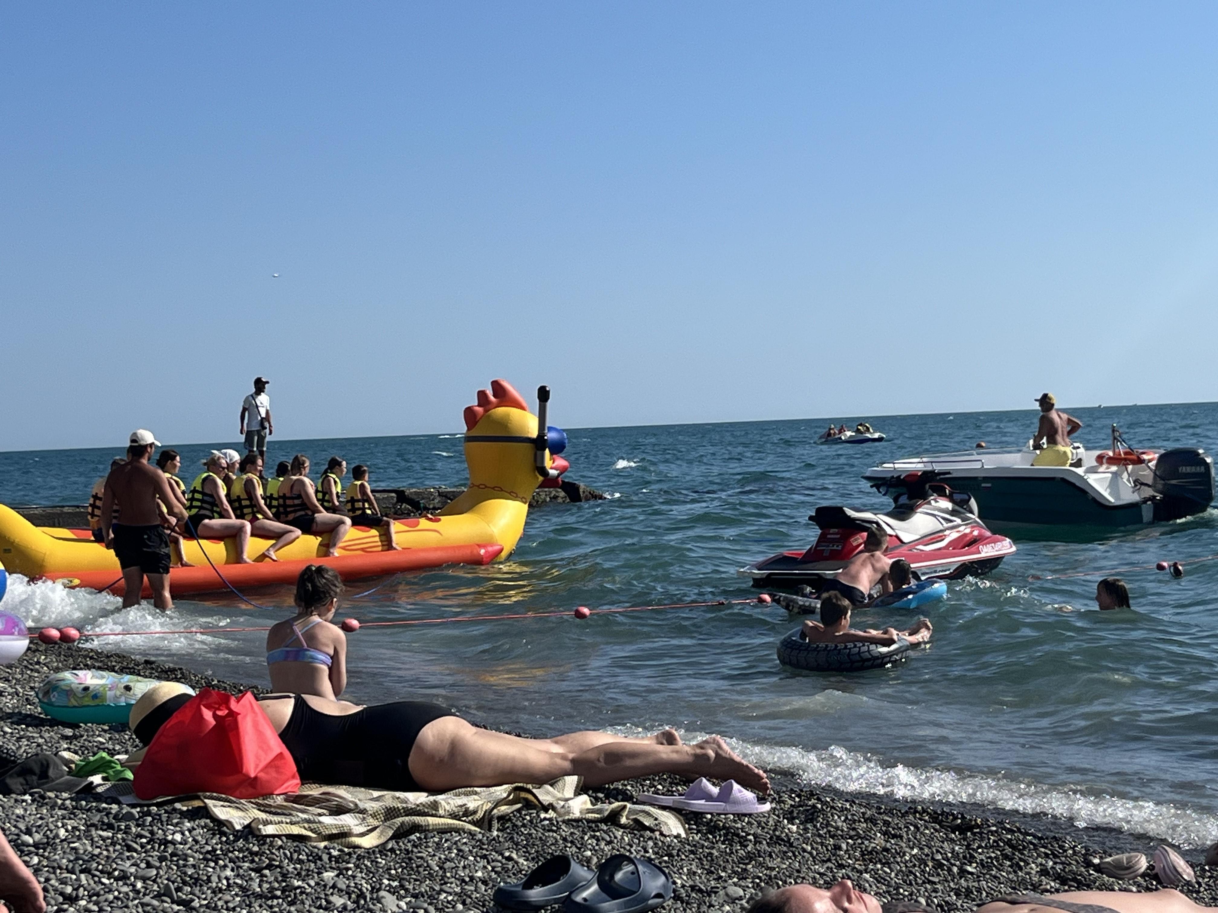 Посмотреть на дельфинов за 2000. В Сочи задрали цены на морские развлечения, чтобы «догнать» упущенную в июне выгоду