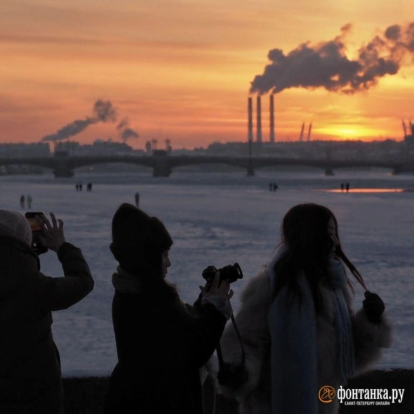 Источник: Михаил Огнев / «Фонтанка.ру»