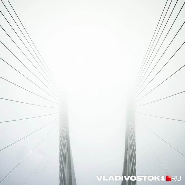Источник: Елена Буйвол / VLADIVOSTOK1.RU
