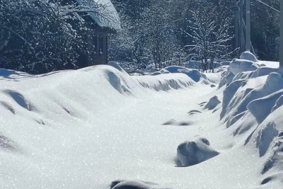 Дороги замело: жители деревень Клепиковского района без продуктов