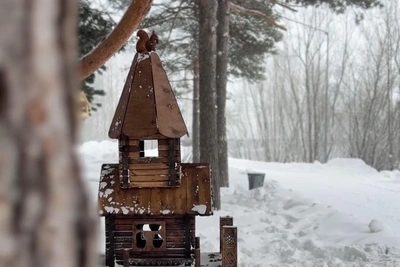 В Сургуте установили дизайнерские домики для белок