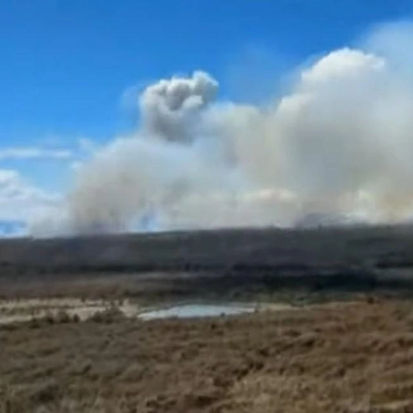 Источник: скриншот @StuffNewZealand