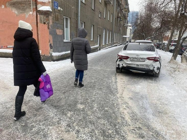 Сейчас газоны — это озелененные территории | Источник: читатель НГС