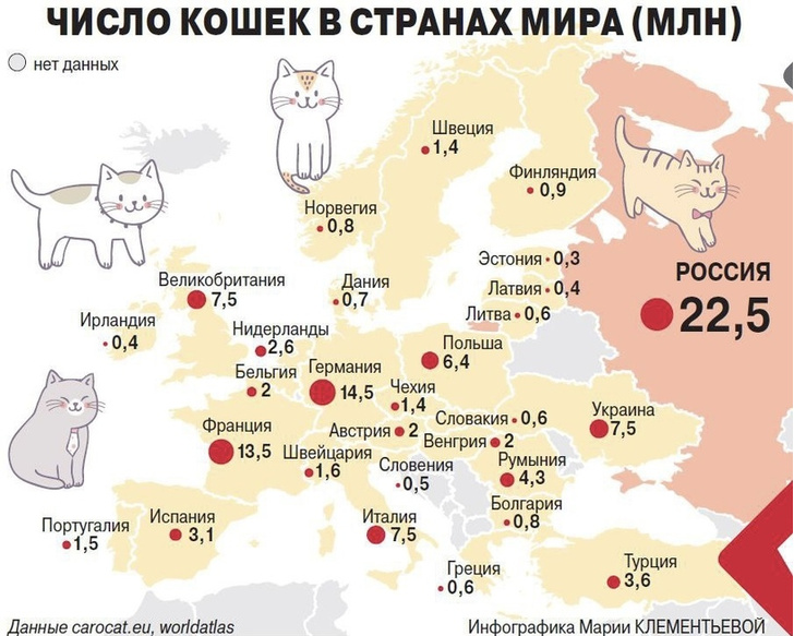 Карта: сколько котов живет в разных странах Европы