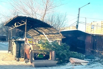 Ёлки в Чите нигде не принимают