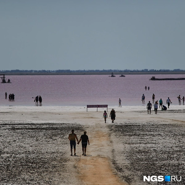 Озеро находится в 30 километрах от Славгорода | Источник: Александр Ощепков / NGS.RU