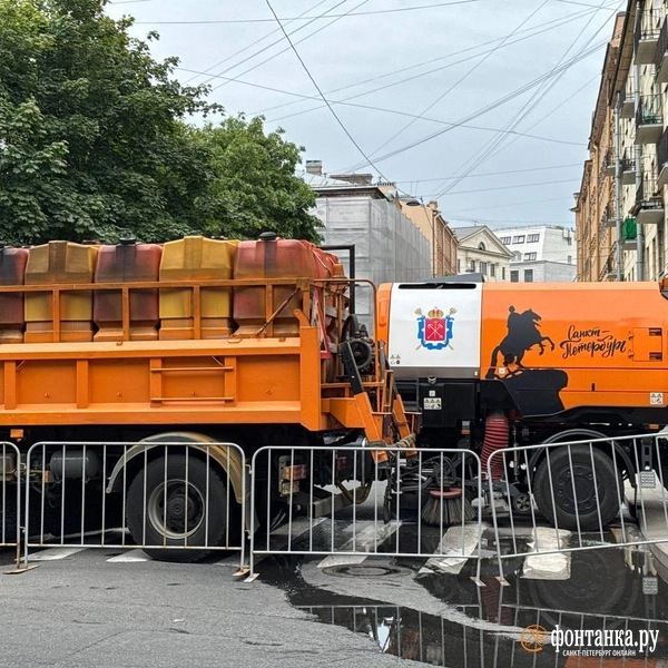 Источник: Анастасия Барашкова / «Фонтанка.ру»
