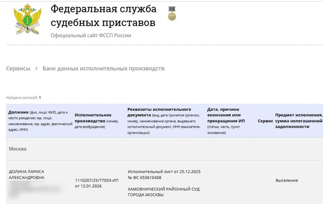ФССП начала исполнительное производство 12 января | Источник: fssp.gov.ru
