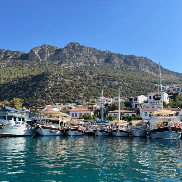 Источник: Елизавета Пенкина