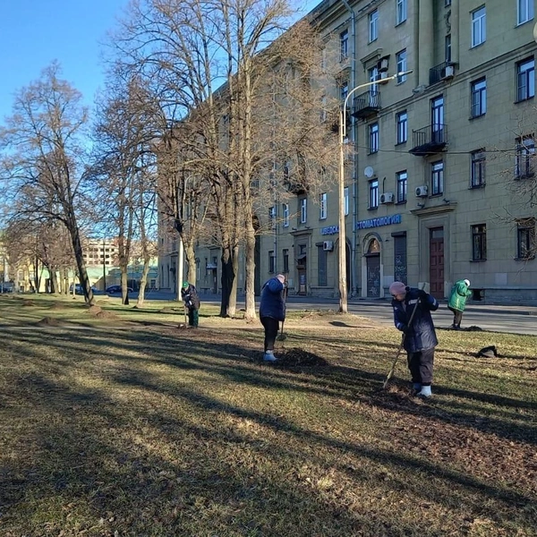 Источник: Комитет по благоустройству Санкт-Петербурга