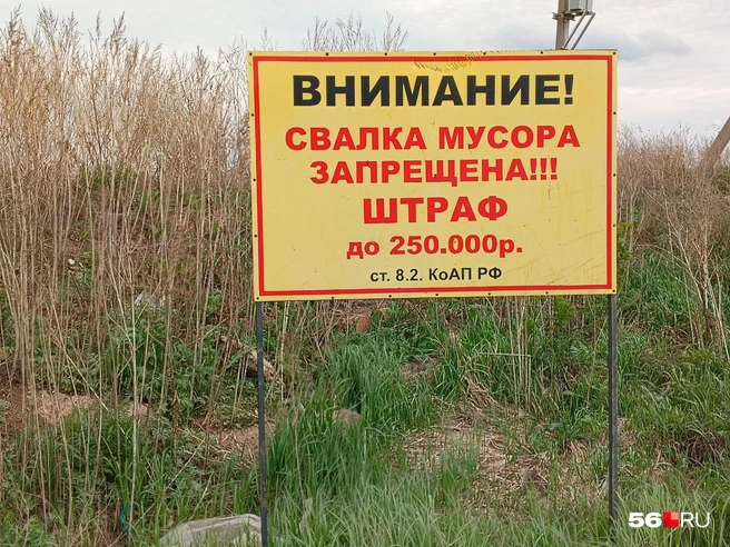 Завод по переработке мусора уже давно должен был появиться в Оренбуржье | Источник: Владислав Митрошин / 56.RU
