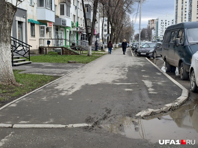 В документации не указано, сделают ли что-то с деревьями | Источник: Булат Салихов / UFA1.RU