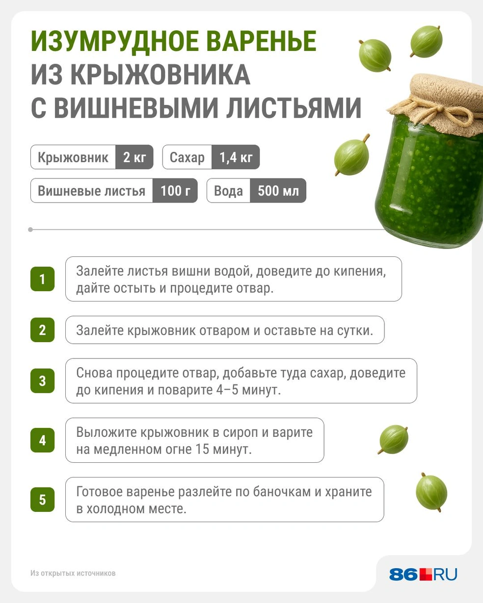 Крыжовник отлично «играет» с вишней | Источник: Юрий Скулыбердин / Городские медиа