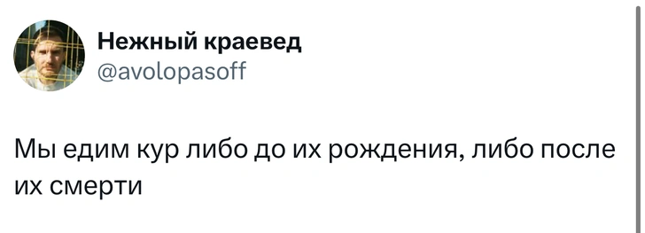 Источник: X (Twitter)