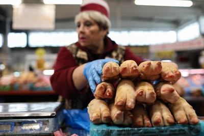 В тульской свинине обнаружена сальмонелла