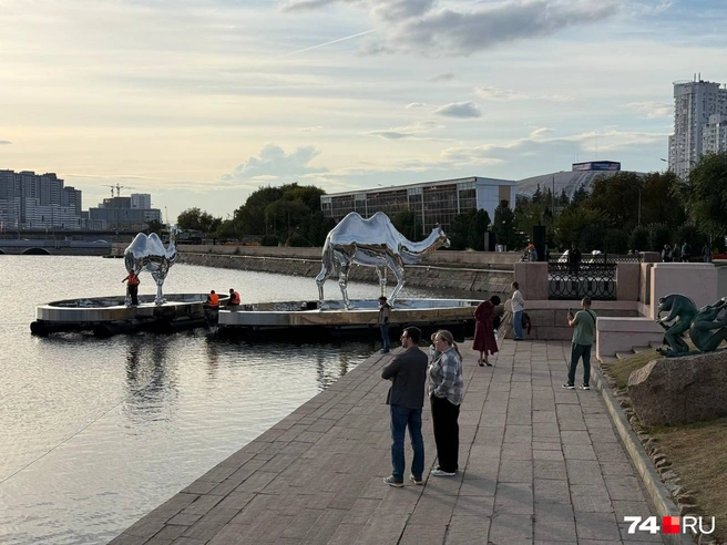 Сначала их собрали на берегу, а теперь спустили на воду  | Источник: читатель 74.RU