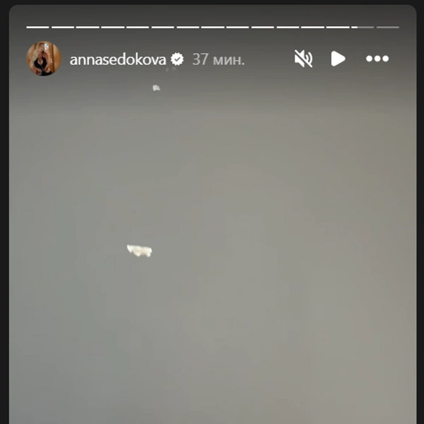 Источник: annasedokova / Instagram.com (экстремистская организация, деятельность запрещена на территории РФ)