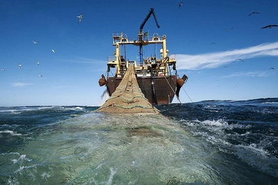 Scientists call for immediate trawl fishing ban in Sea of Azov