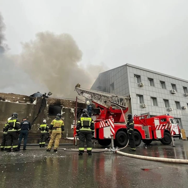 Источник: Елена Буйвол / VLADIVOSTOK1.RU