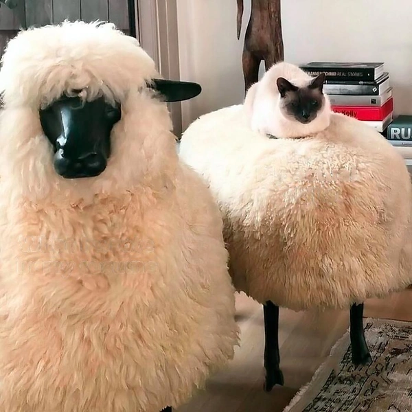 Источник: соцсети