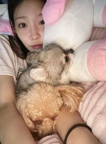 Источник: @chungha.art