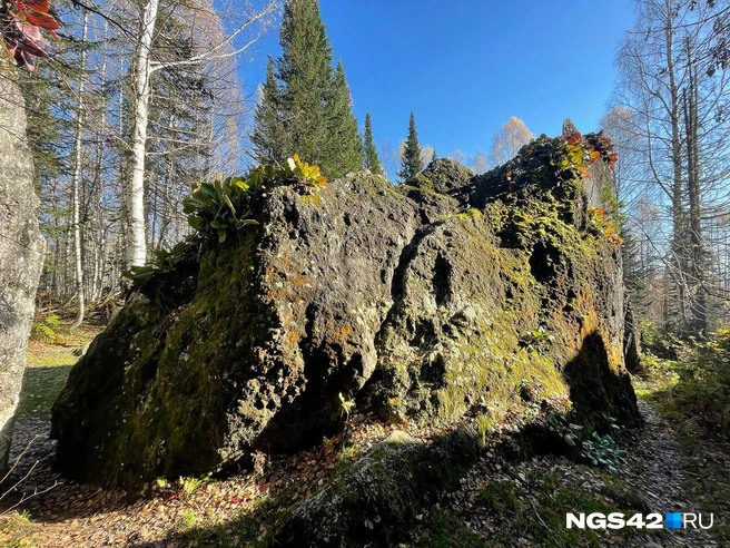 Источник: Лера Городецкая / NGS42.RU 