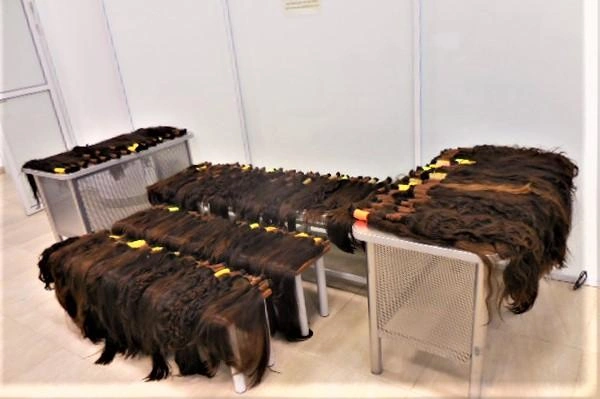 Более 40 килограммов человеческих волос нашли в багаже пассажирки из Дубая. Фото | Источник: ФТС России