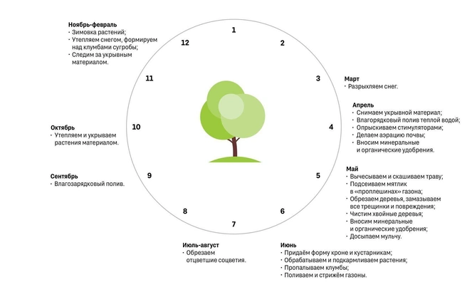 Схема годового цикла работ с озеленением | Источник: Брусника