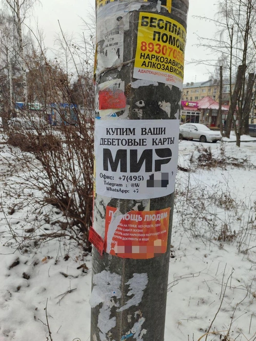 Подобные объявления довольно часто можно встретить на столбах | Источник: Татьяна Кузнецова