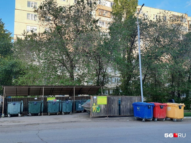 Евгений Солнцев высказался о мусоре и ООО «Природа» | Источник: Анастасия Баринова / 56.RU