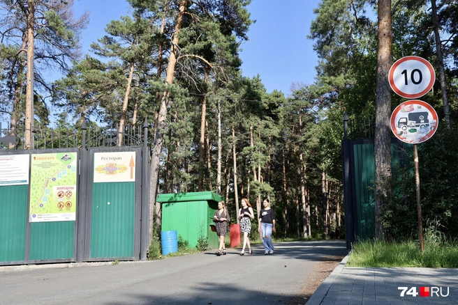 Там, где тропа заканчивается, — как будто уже полноценный лес | Источник: Михаил Шилкин