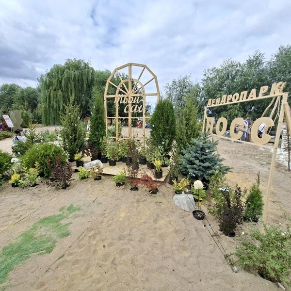 Источник: Алёна Воропаева / Voronezh1.ru