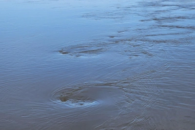 Уровень Тобола в Кургане продолжает расти