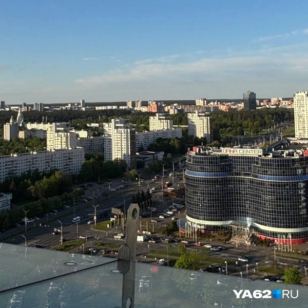 Смотреть на зелень в черте города&nbsp;— одно удовольствие | Источник: Виктория Улитова / YA62.RU