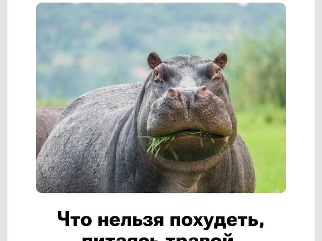 Очень наглядный пример | Источник: Городские медиа