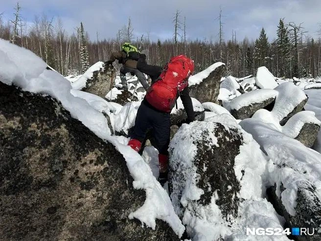 Алексей Тайганавт / NGS24.RU | Источник: Местность в районе пропажи Усольцевых осенью 2025 года