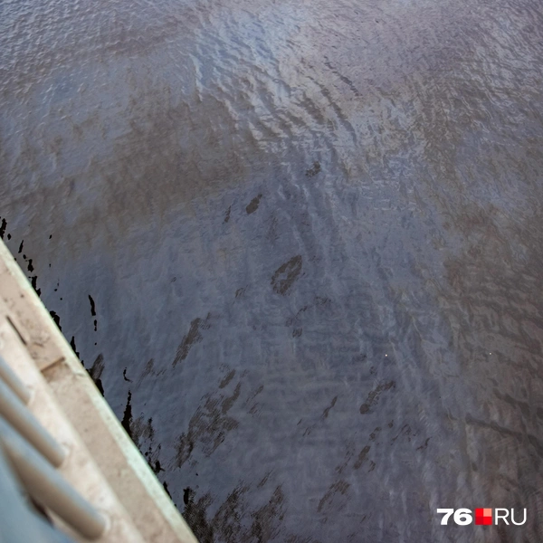 Объем воды в реке все ниже | Источник: Кирилл Поверинов / 76.RU