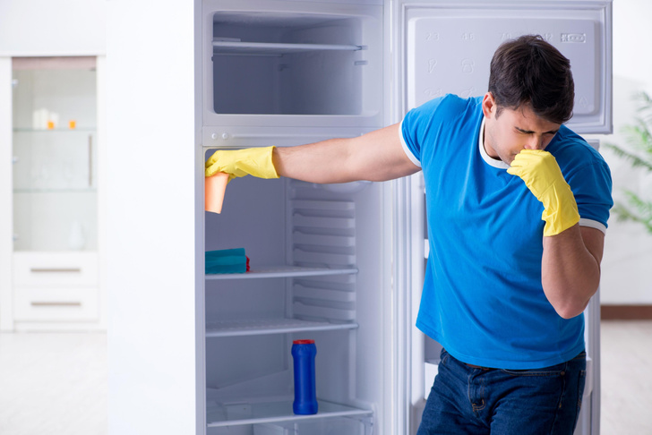 Тот самый секрет: как избавиться от неприятного запаха в холодильнике, чтобы не покупать новый