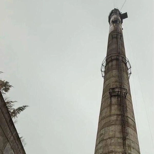 Источник: ГСУ СК по Петербургу