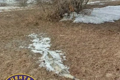 Талая вода подтопила село в Свободненском районе