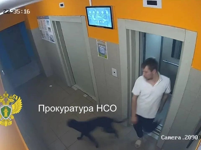 Мужчина стал фигурантом уголовного дела о хулиганстве | Источник: прокуратура Новосибирской области