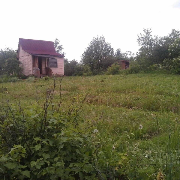 Такую дачу можно купить за 30 тысяч рублей | Источник: Циан