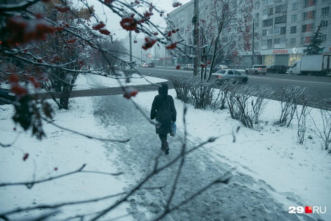 Источник: Иван Митюшёв / 29.RU 