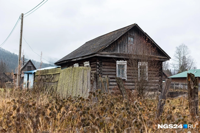 Тут и без реквизитов все наглядно | Источник: Мария Ленц / NGS24.RU