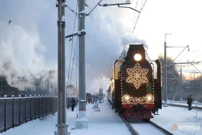 Не знаем, как вы, а мы уже начали готовиться к Новому году и узнали о нем кое-что интересное | Источник: Сергей Михайличенко / FONTANKA.RU