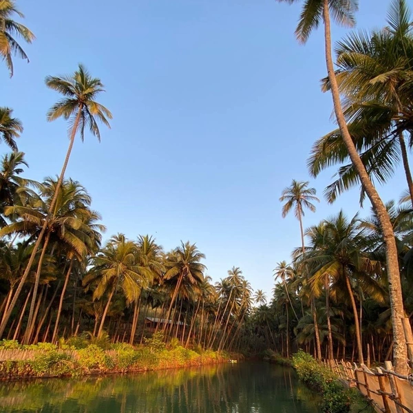 Источник: Софья Золотухина