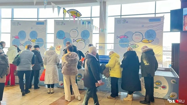 Рыбная ярмарка в Мурманске, она проходит каждую субботу | Источник: Александра Балаба