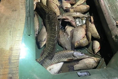 Задержание за незаконный вылов рыбы в заказнике «Спасский»